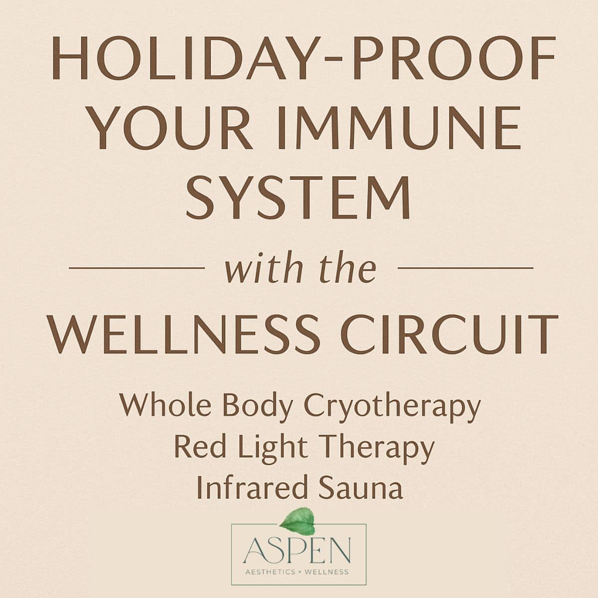 Holiday Proof Your Immune System with the Wellness Circuit